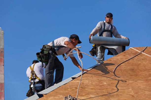 Best Roof Repair Services  in West Branch, IA