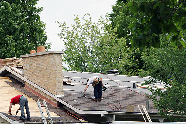 Best Roof Gutter Cleaning  in West Branch, IA