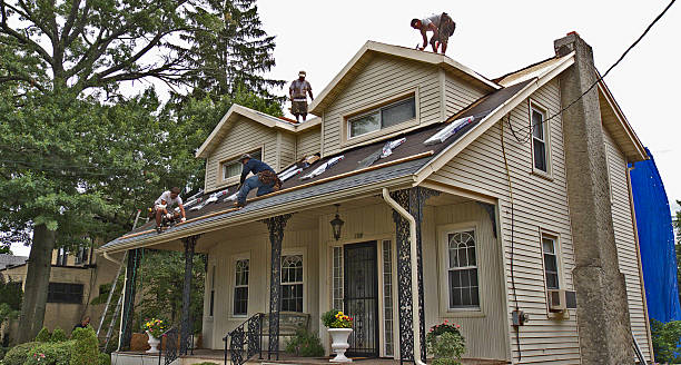 Best Metal Roofing Contractor  in West Branch, IA